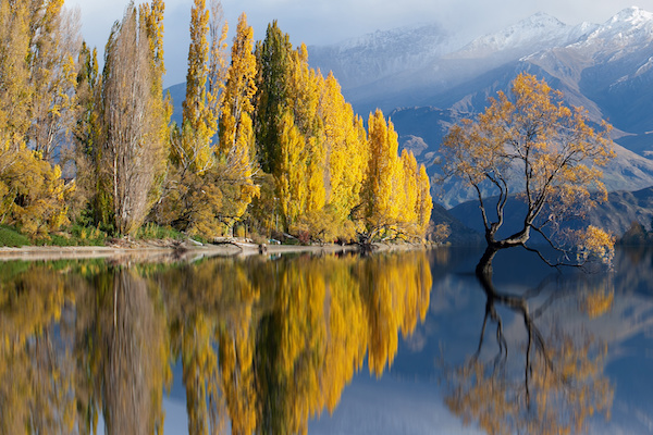 Autumn in New Zealand