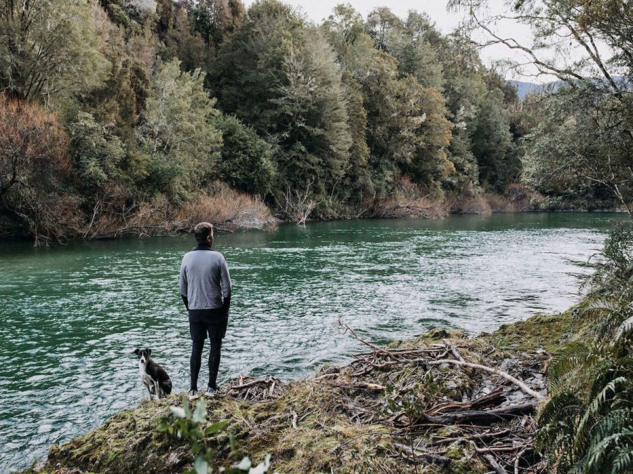 Maruia River Retreat Nelson