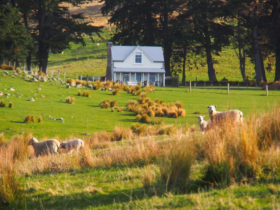 Shepard’s Cottage at Annandale Christchurch & Canterbury